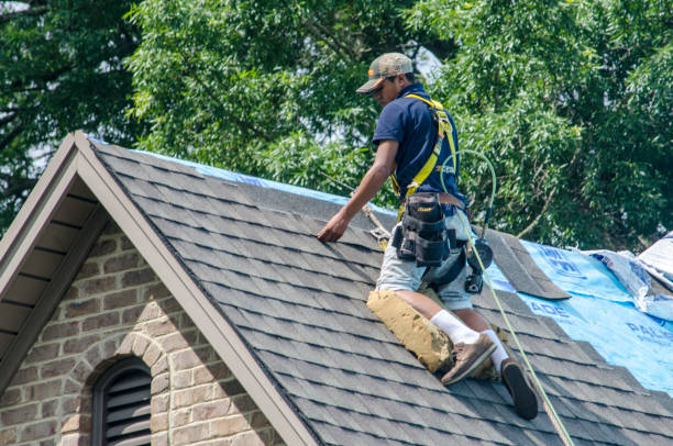 Residential Roof Replacement in Immokalee, FL